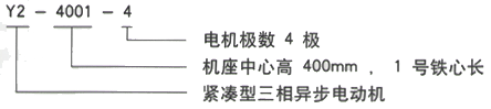 YR系列(H355-1000)高压YRKK6301-8三相异步电机西安西玛电机型号说明